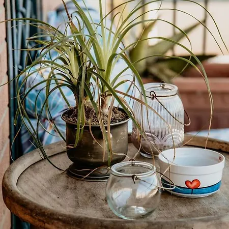 Appartement Poccio House *